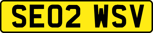 SE02WSV