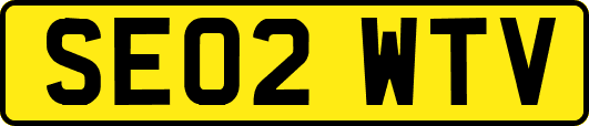 SE02WTV