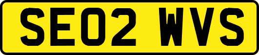 SE02WVS