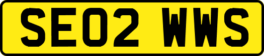 SE02WWS