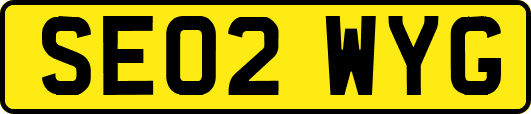 SE02WYG