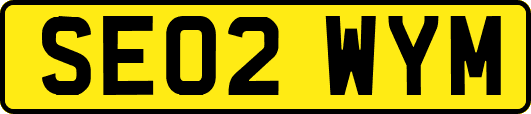 SE02WYM