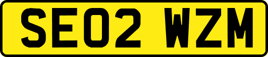 SE02WZM