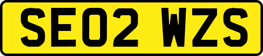 SE02WZS
