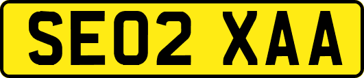 SE02XAA