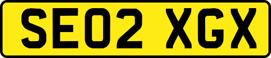 SE02XGX