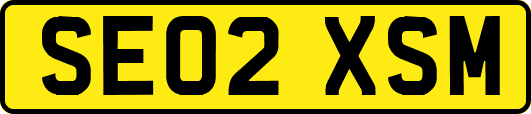SE02XSM