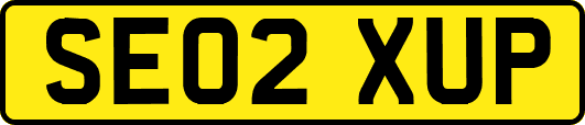 SE02XUP