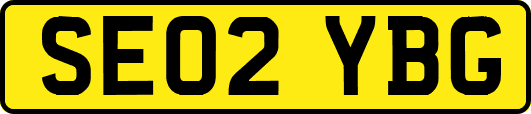 SE02YBG