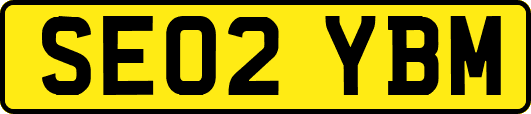 SE02YBM