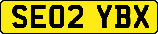 SE02YBX
