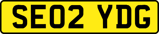 SE02YDG