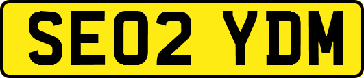 SE02YDM
