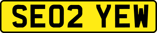 SE02YEW