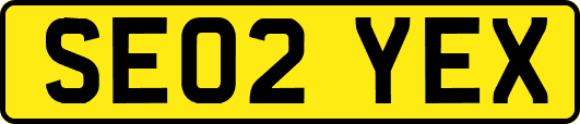 SE02YEX