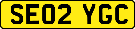 SE02YGC