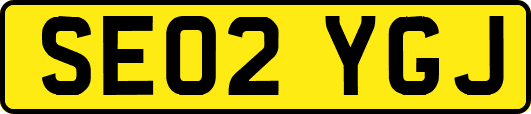 SE02YGJ