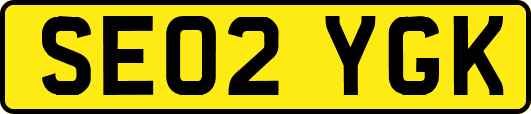 SE02YGK