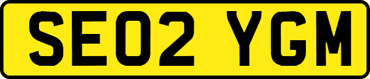 SE02YGM