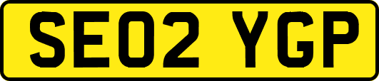 SE02YGP
