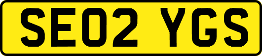 SE02YGS