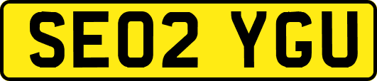 SE02YGU