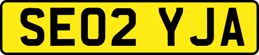 SE02YJA