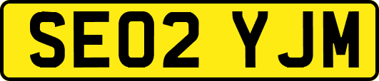 SE02YJM