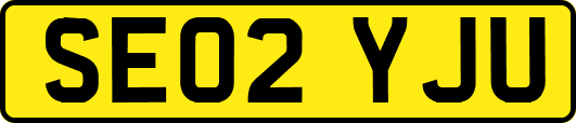 SE02YJU