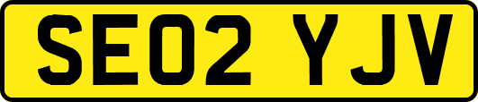 SE02YJV