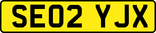SE02YJX