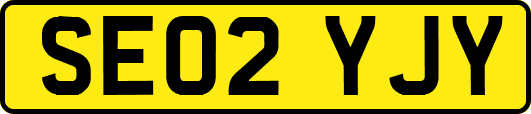 SE02YJY