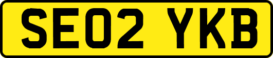 SE02YKB