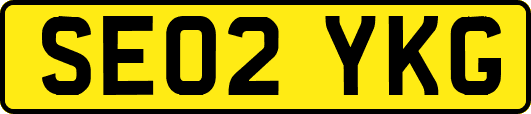 SE02YKG
