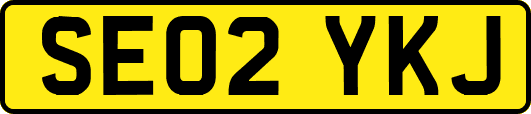 SE02YKJ