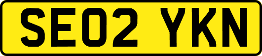 SE02YKN