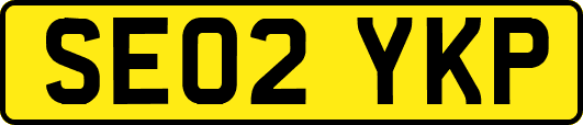 SE02YKP