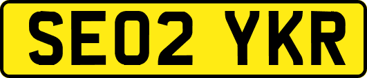 SE02YKR