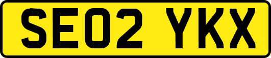 SE02YKX