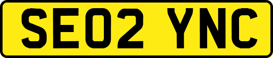 SE02YNC