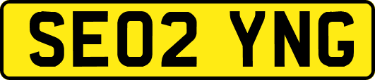 SE02YNG