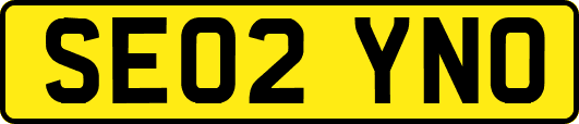 SE02YNO