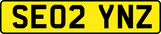 SE02YNZ