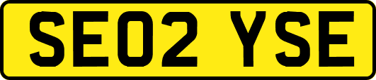 SE02YSE