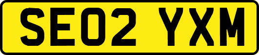 SE02YXM