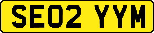 SE02YYM