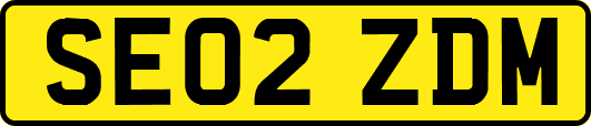 SE02ZDM