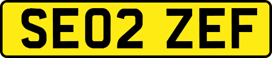 SE02ZEF