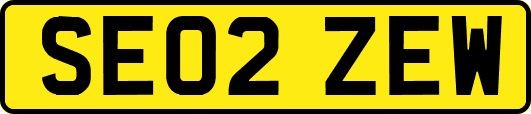 SE02ZEW