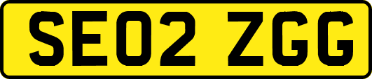 SE02ZGG